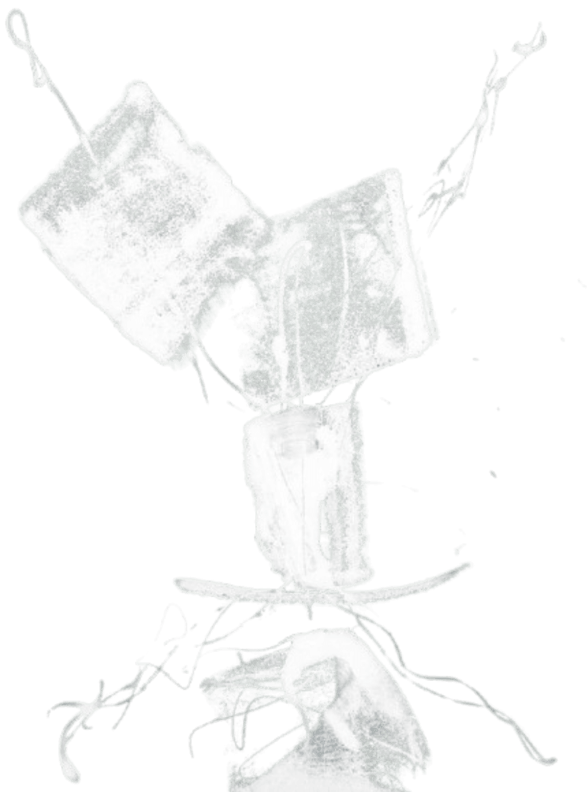 Thesis page image